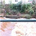 The Morning After The Floods 008